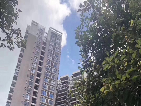 石巖村委統建樓【羊臺山一號】10棟大型花園社區房