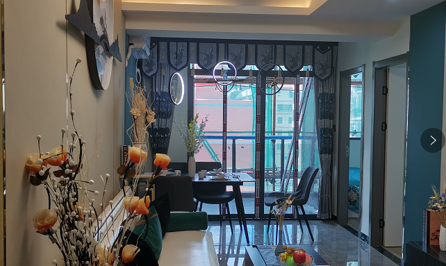 坂田陽(yáng)光城一房一廳50萬(wàn)起