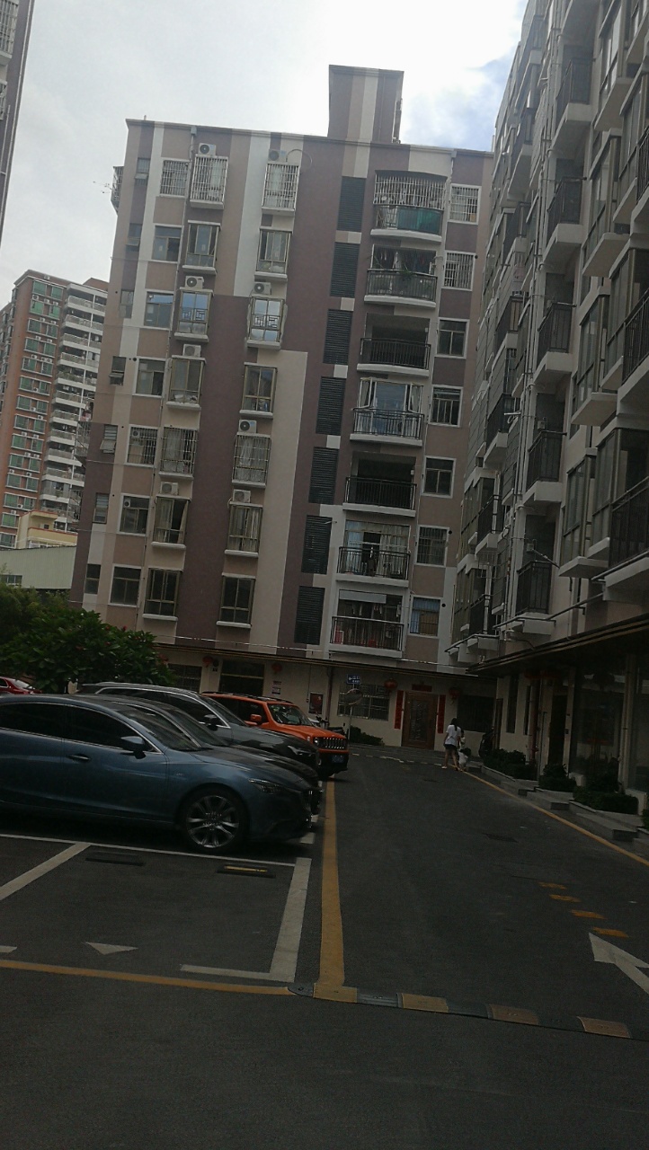 觀瀾小區型村委統建樓兩房一廳