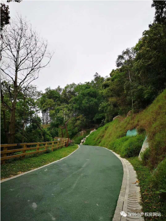 56.8萬(wàn)入手龍華山水綠園村委統(tǒng)建樓，還在等什么？