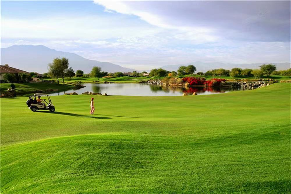 龍華山水華庭均價(jià)47500元/平