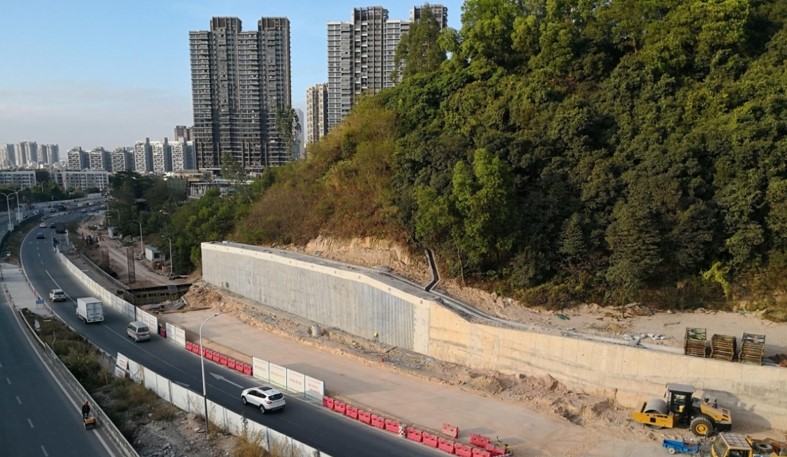 深圳龍崗坂田坂雪崗大道河背村