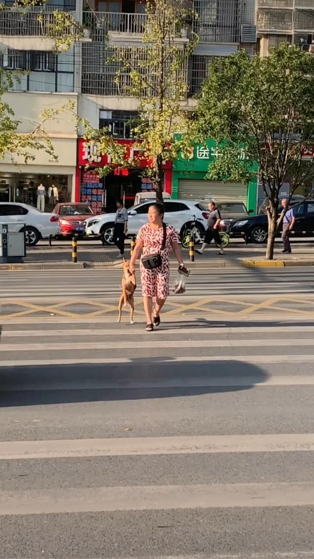 冼村大部分地塊房屋已經(jīng)進入拆除階段