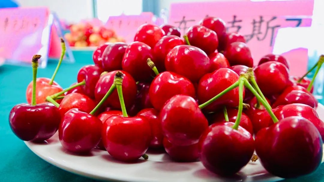 海淀區蘇家坨管家嶺堪稱天然風景區