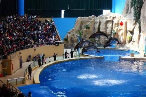 啟動(dòng)勝利街解放北路棚戶區(qū)